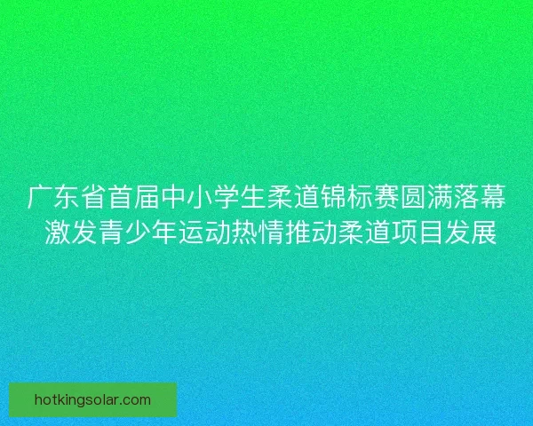 广东省首届中小学生柔道锦标赛圆满落幕 激发青少年运动热情推动柔道项目发展